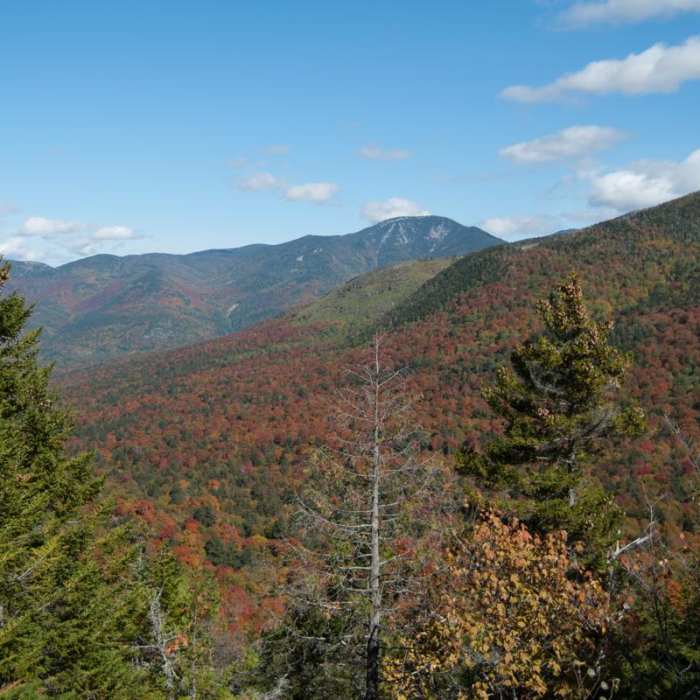 Near Indian Head + Fishhawk Cliffs Near Indian Head + Fishhawk Cliffs