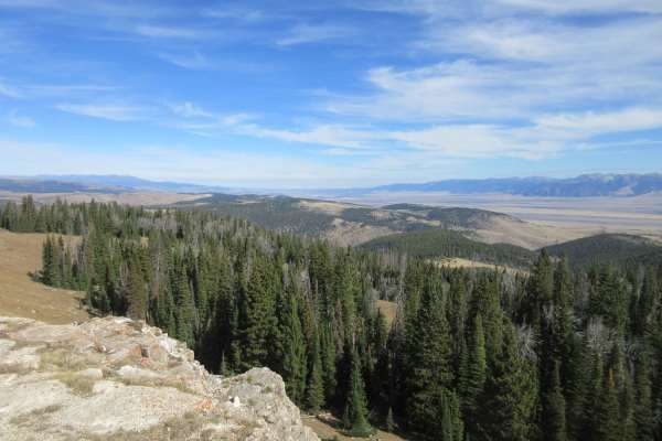 Johnny Ridge Road - FS324