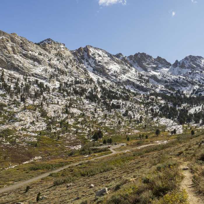Near Island Lake Trail Near Island Lake Trail