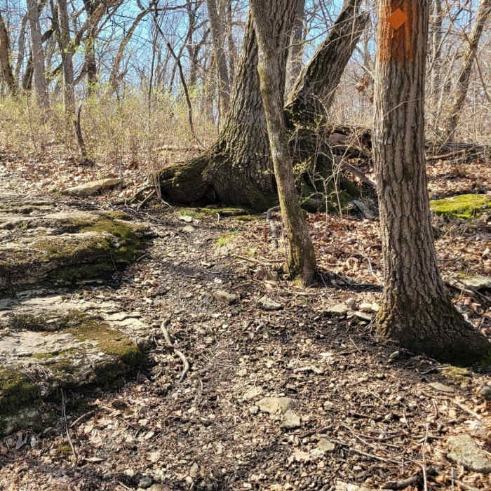 Near Eddy Ballentine Trail