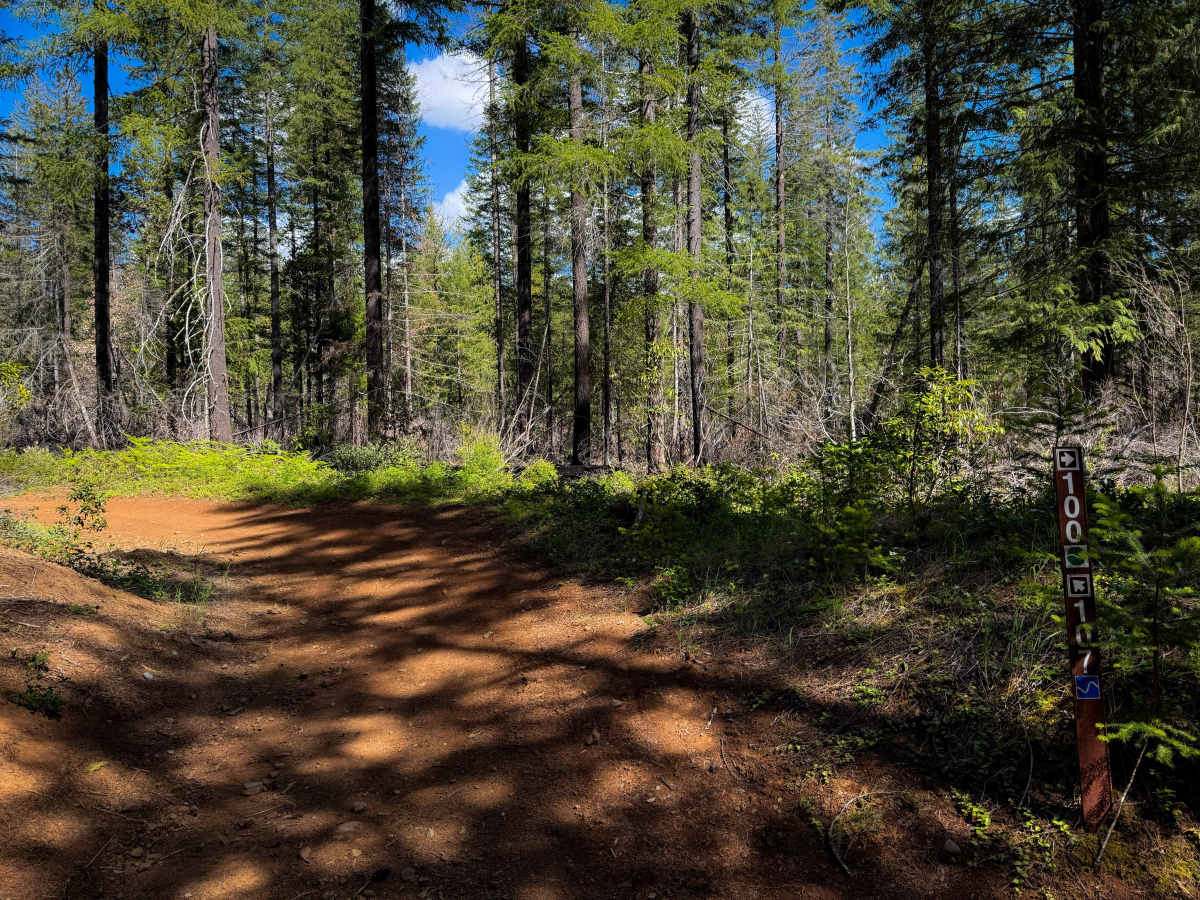 107 (North)  trail photo