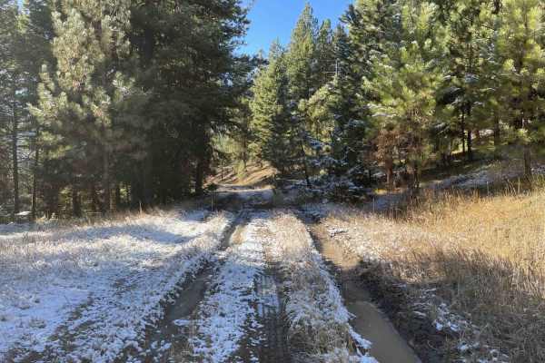 Old Coal Creek Dead End