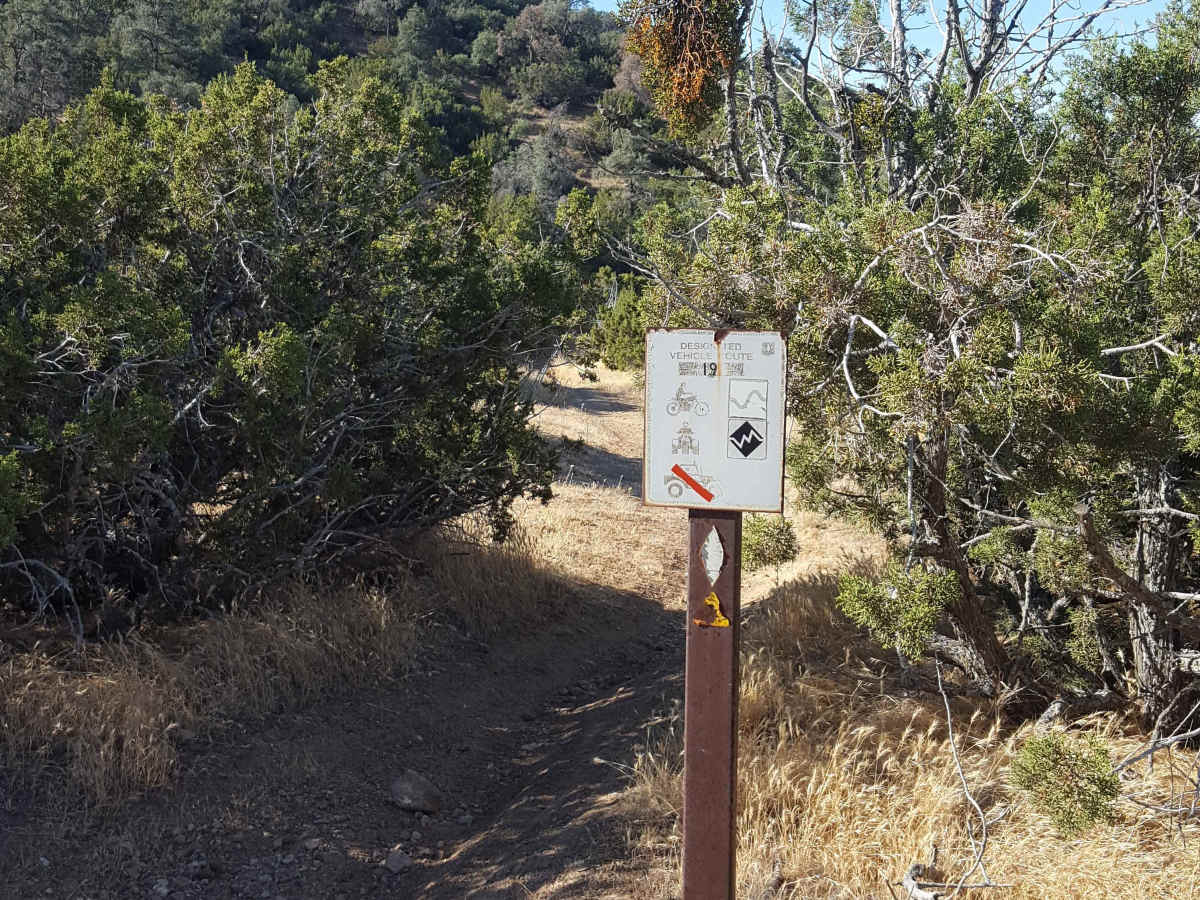 Trail 19 trail photo