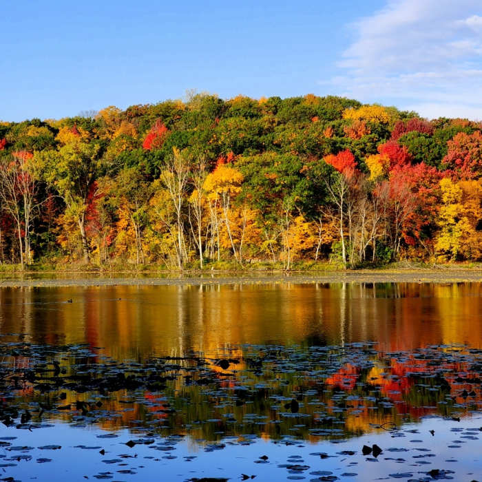 Near Lone Lake to Bryant Lake