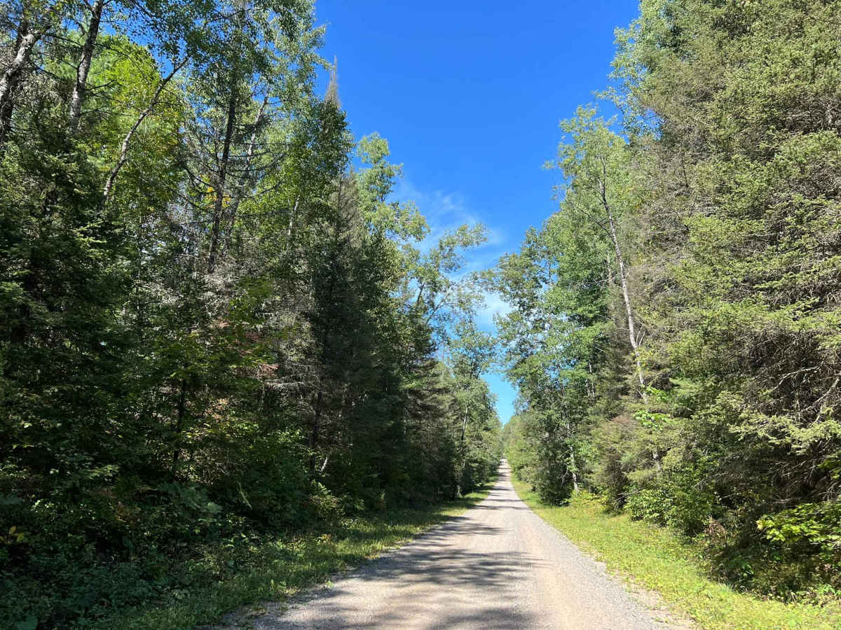 Goose Creek Road - FS 2367 photo 5