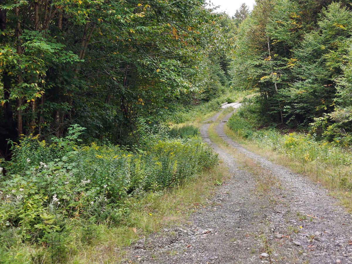 Schoppe Brook Road trail photo