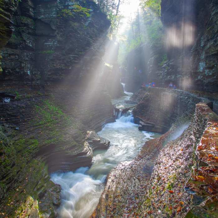 Near Gorge Trail Near Gorge Trail