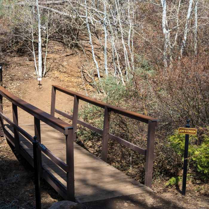 Near Heaps Peak Arboretum Sequoia Loop
