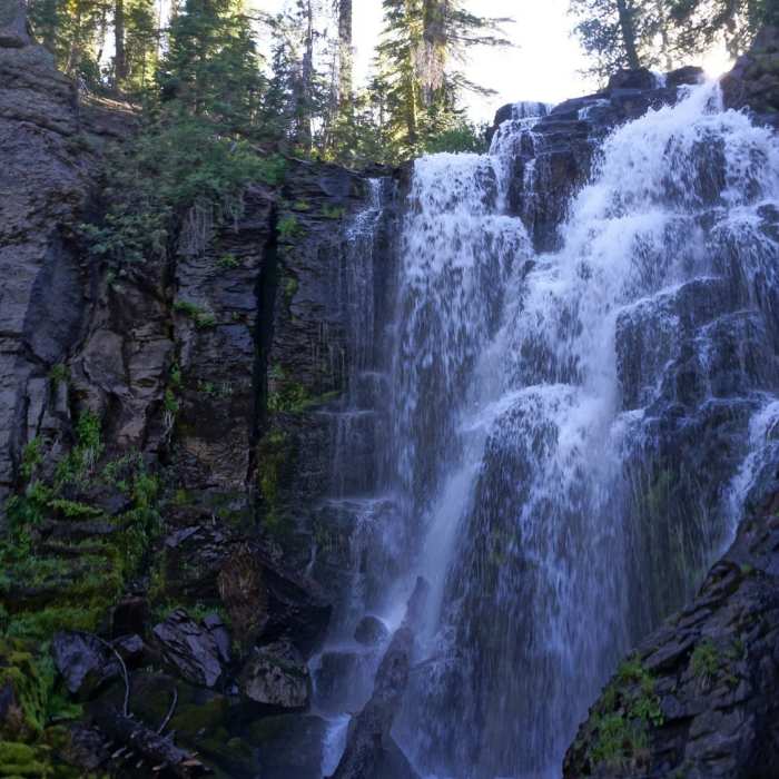 Near Bench Lake Trail
