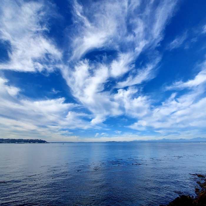 Duwamish Head and Elliott Bay from Myrtle Edwards Park. Near Myrtle Edwards Park Trail
