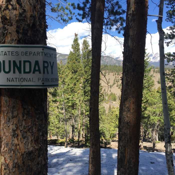 Near Edwin Bradt Grave / Bible Point Trail