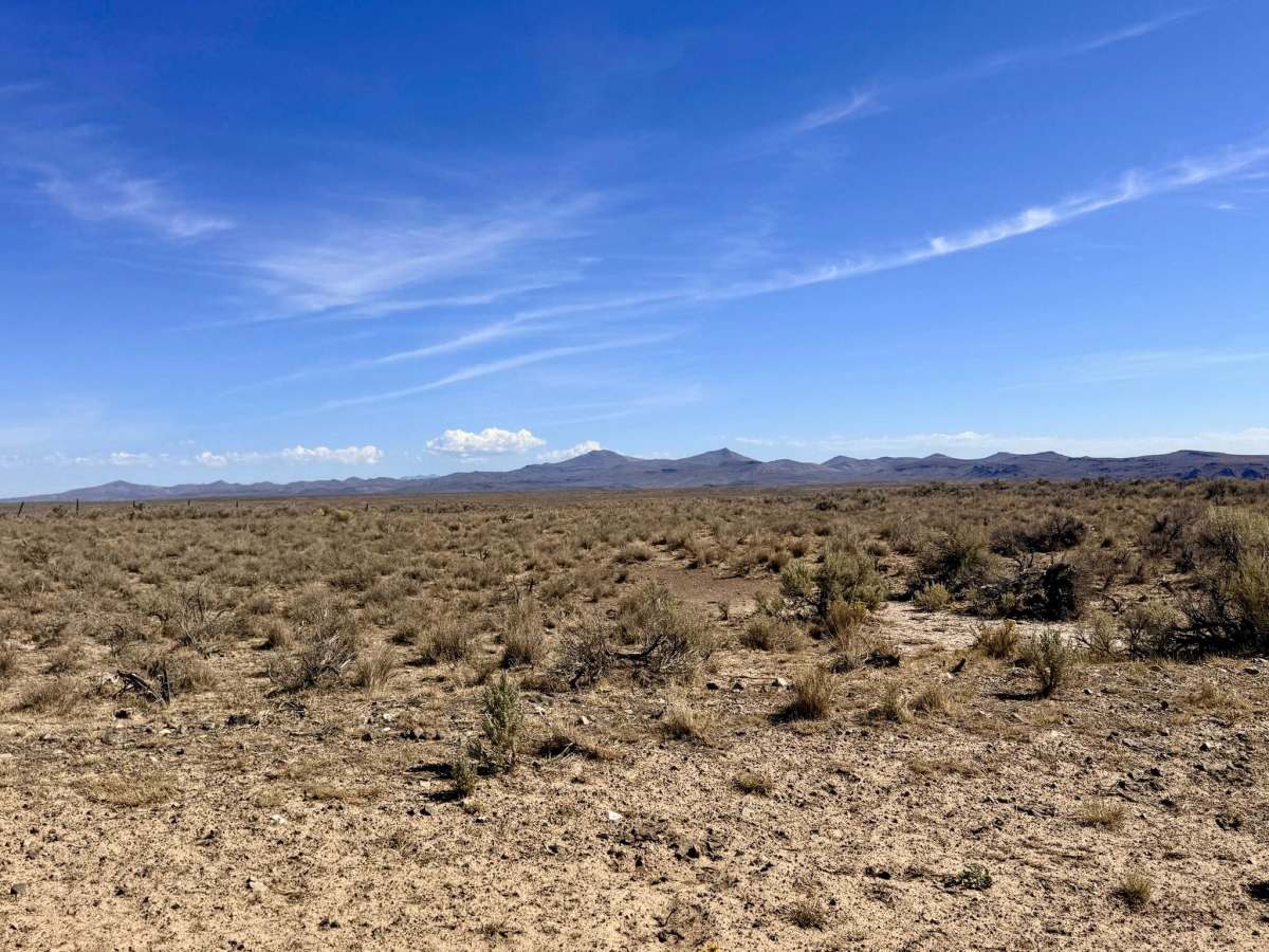 Saval Ranch Road photo 6