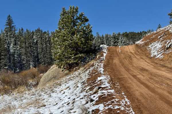Cedar Cut 3 Road - FS 359