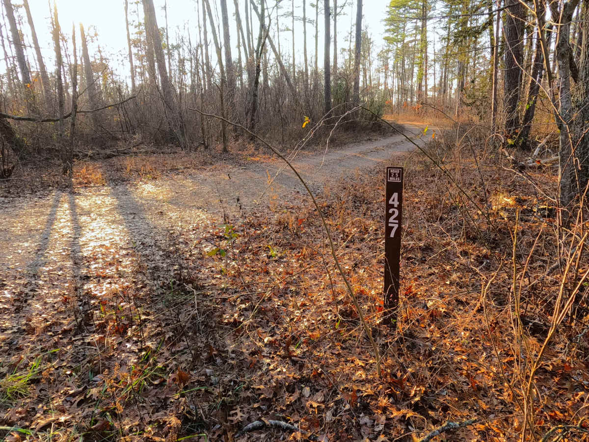 Greasy Creek - FS 427 photo 2