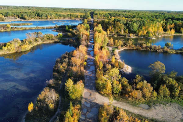 Reynolds Ponds
