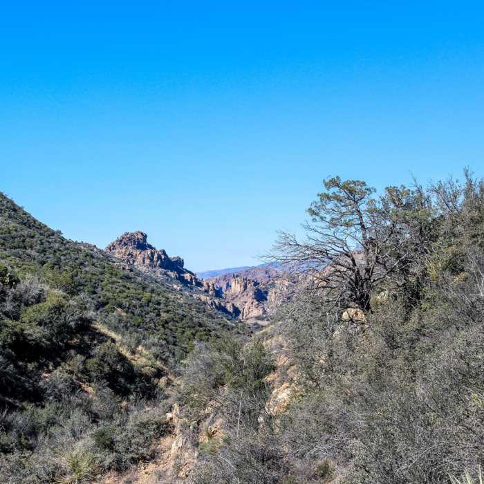 Near Rogers Canyon Trail