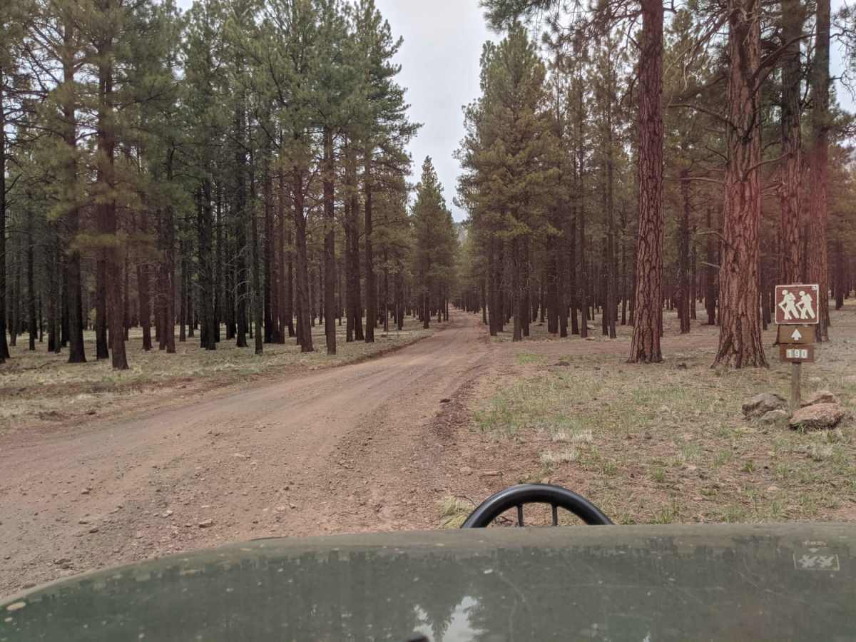 Old 190 Kendrick Trailhead photo 2