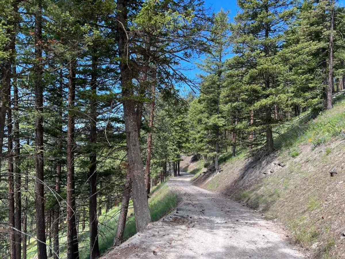 Butler Creek Loop 456 trail photo