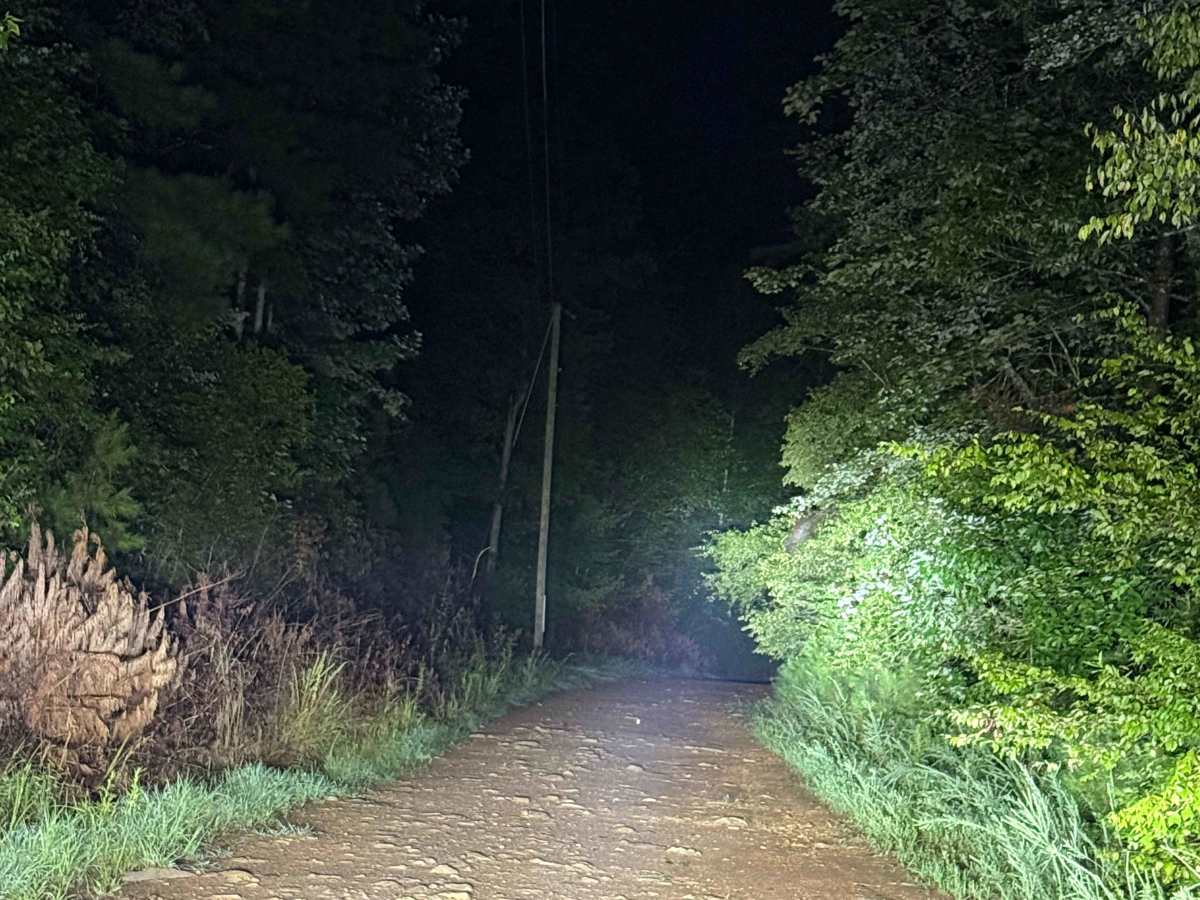Treat Mountain / County Road 202 trail photo