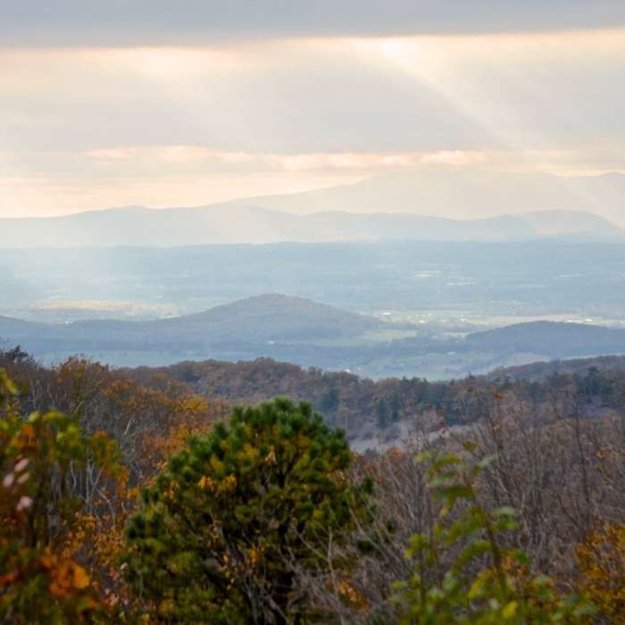 Near Story of the Forest Trail