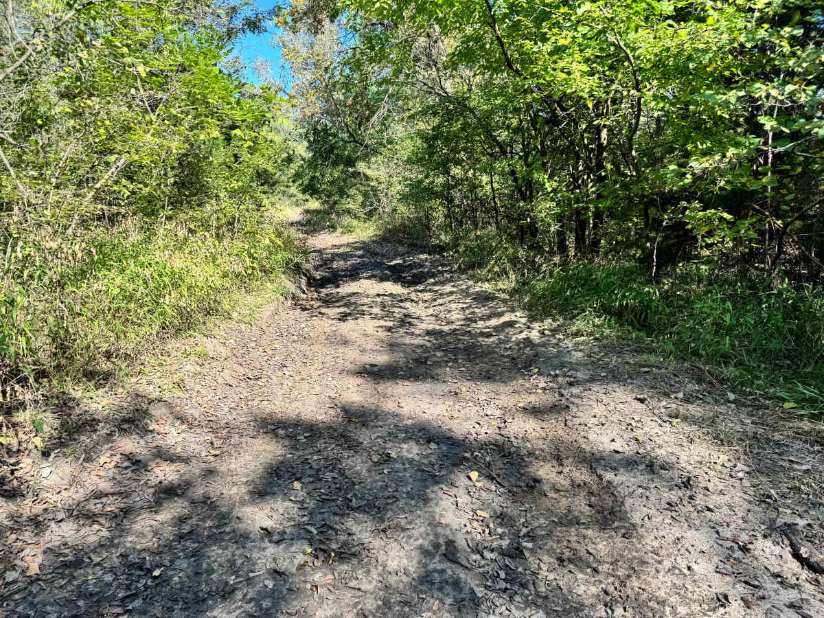 Diesel Drag trail photo