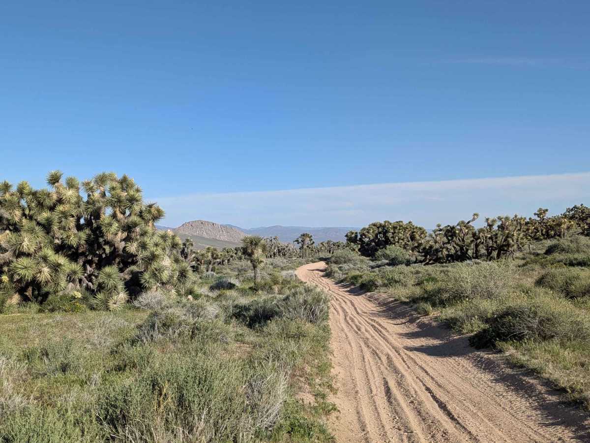 BLM SC42 trail photo