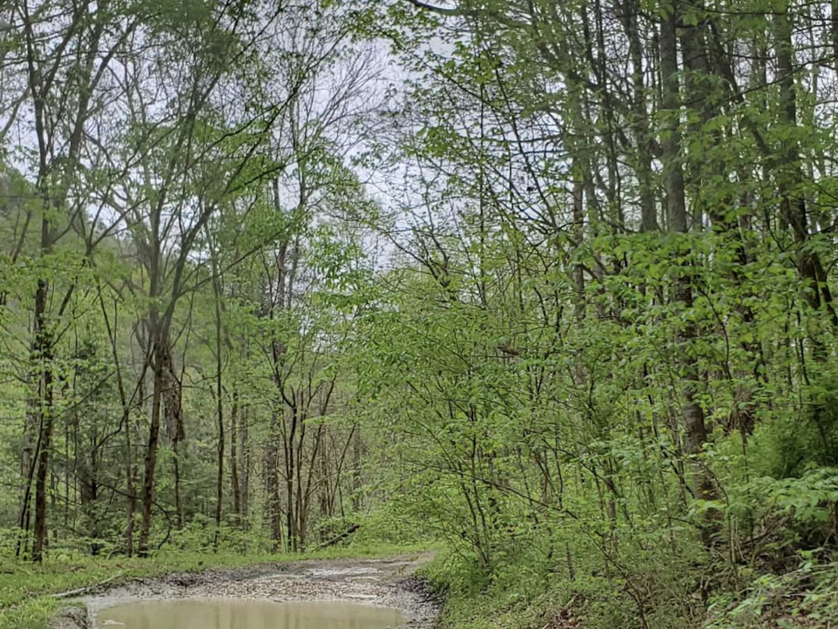 Zachariah 4WD Trail photo 3