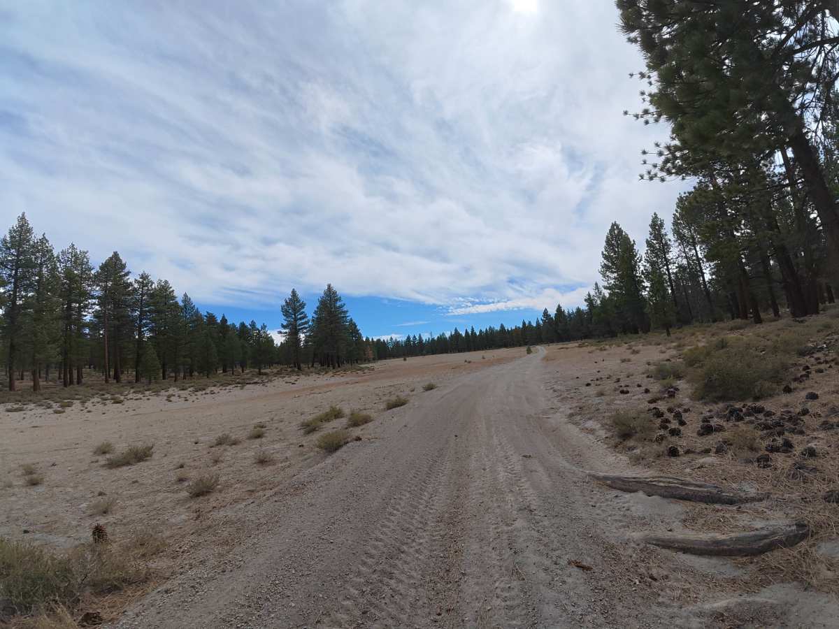 Sandy Flats Access - FS 1S85 trail photo