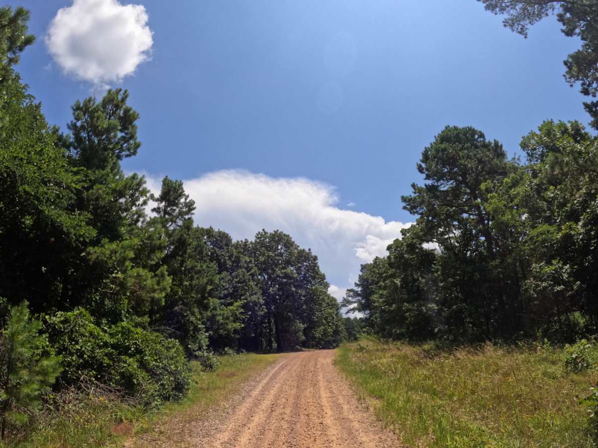 Rich Mountain Byway photo 5