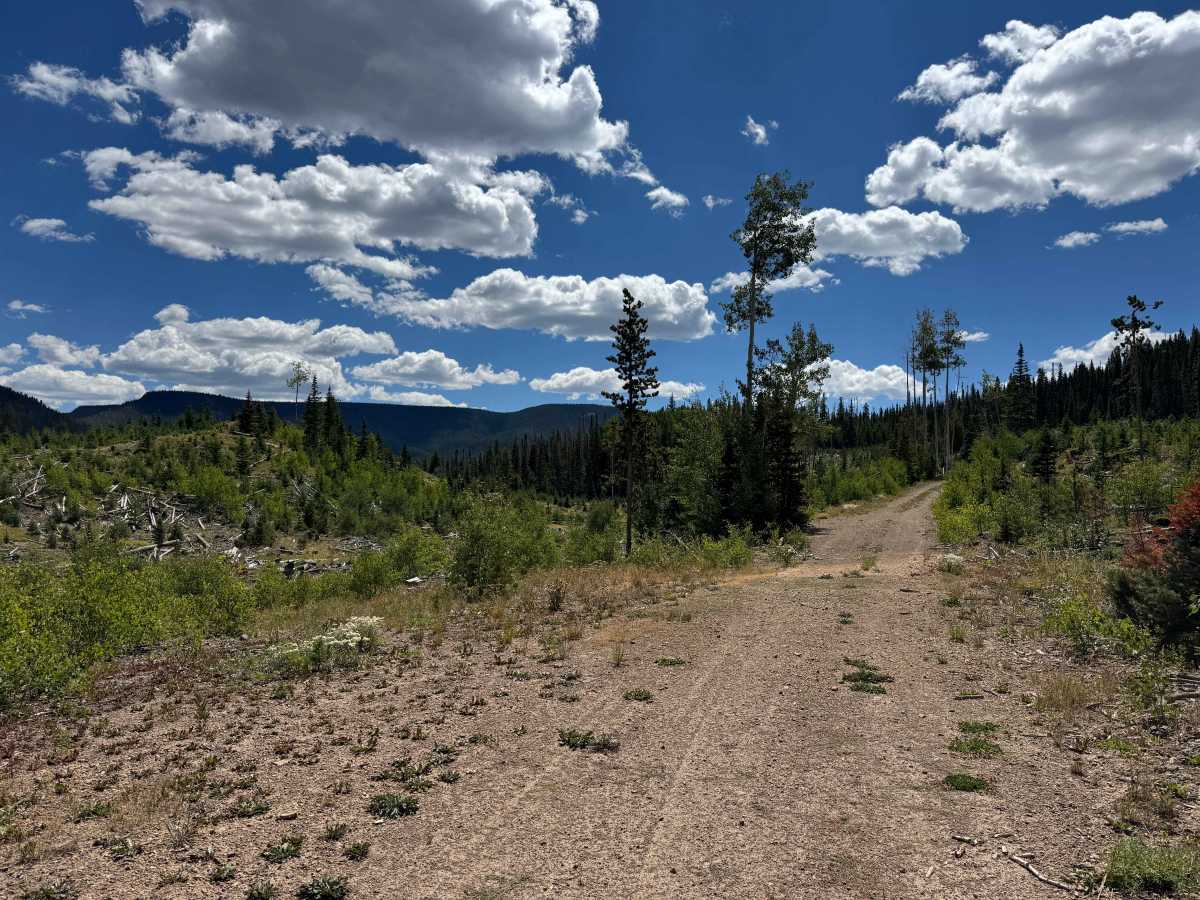 Hump Road photo 6
