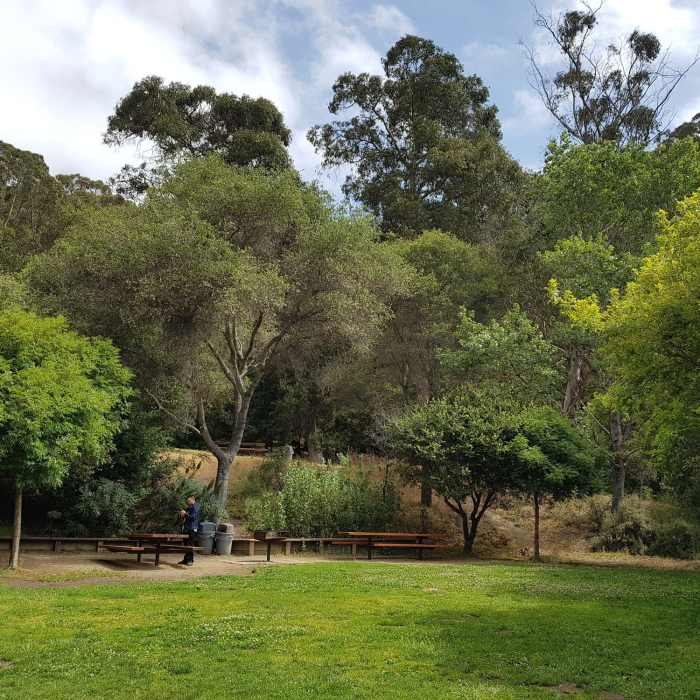 Near Alvarado Park Trail