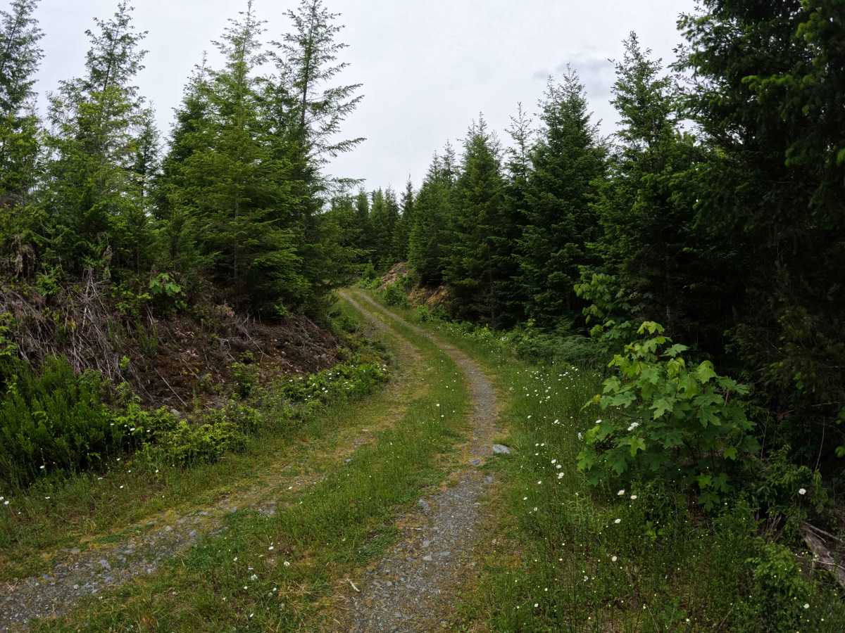 Illabot Powerline Road photo 3