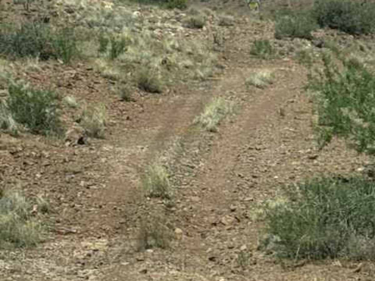 BLM PE1211 photo 5