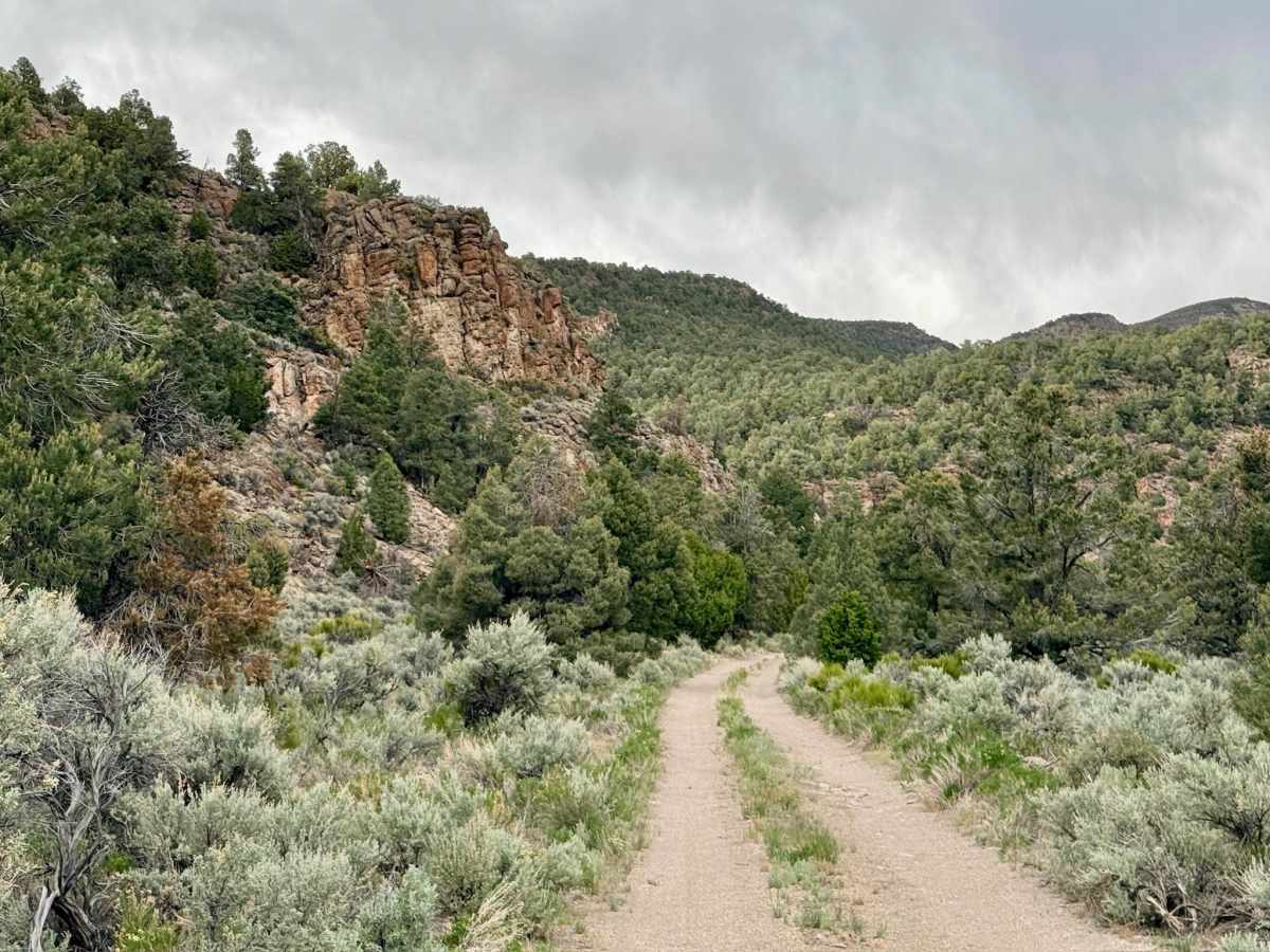 Long Canyon - FS 43375 trail photo