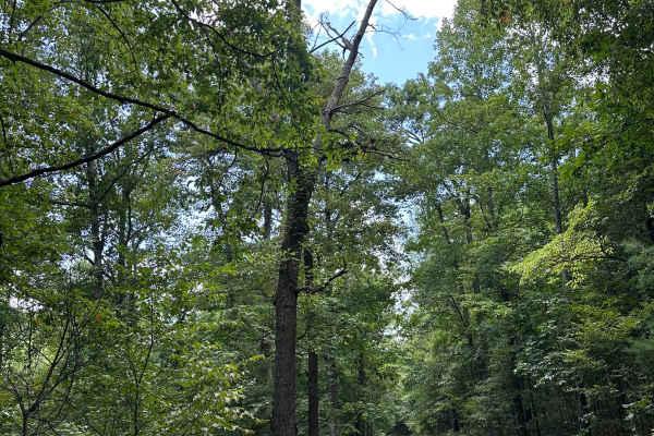 Cold Spring Road