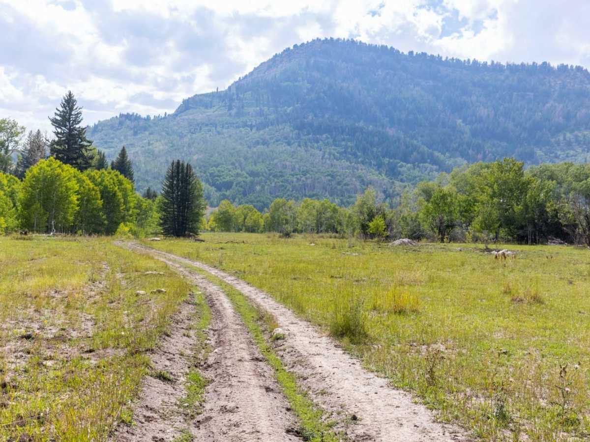 Olsen - Clear Creek Trail photo 6