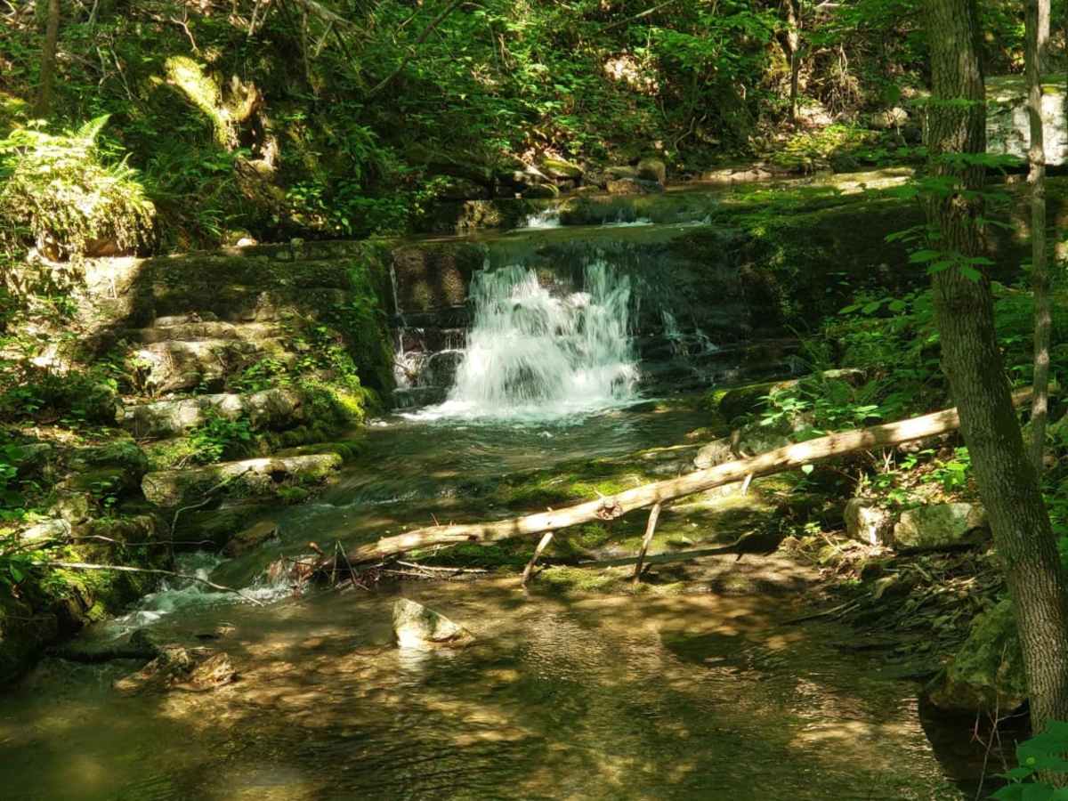 Cub Run photo 5
