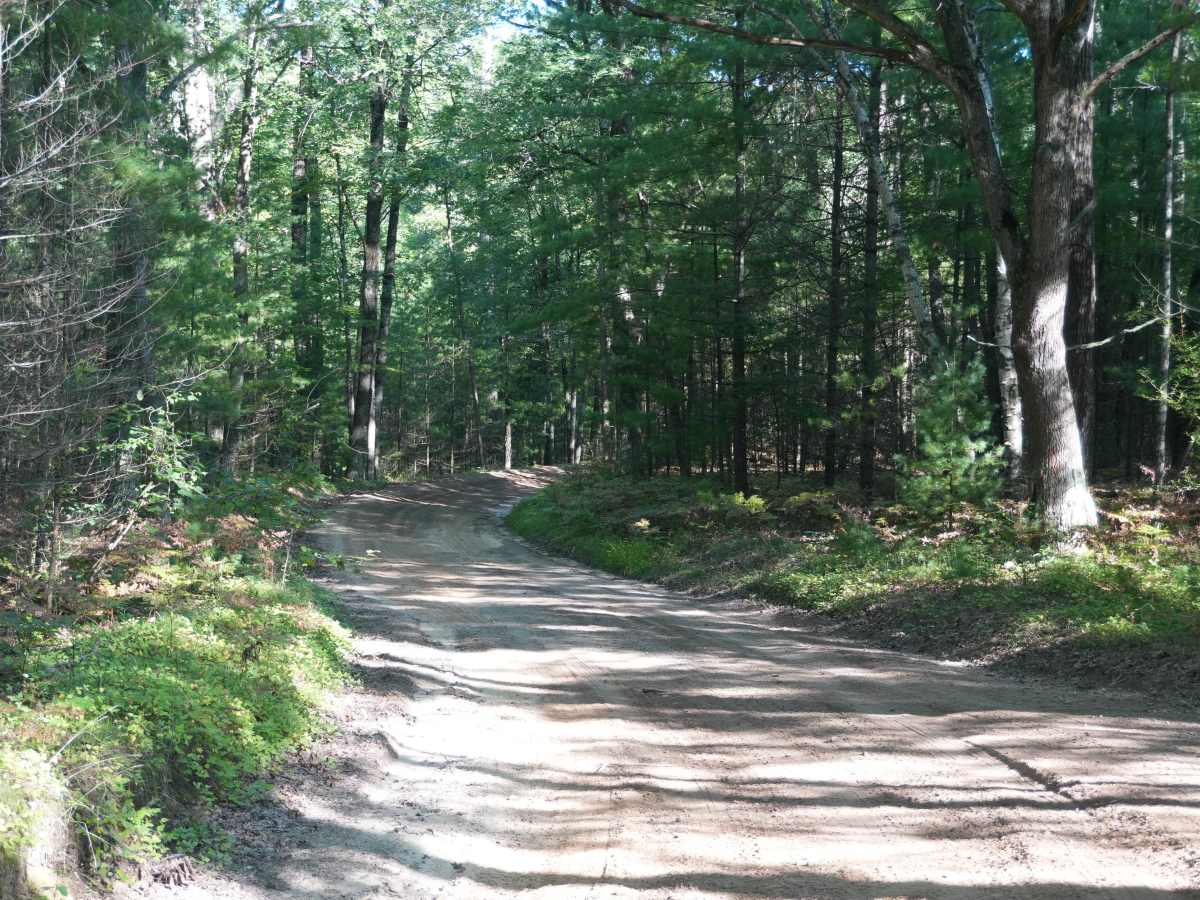 Dunham Lake Road photo 2