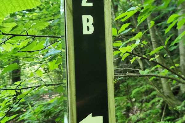Trail 2B - Rock Run Recreation Area