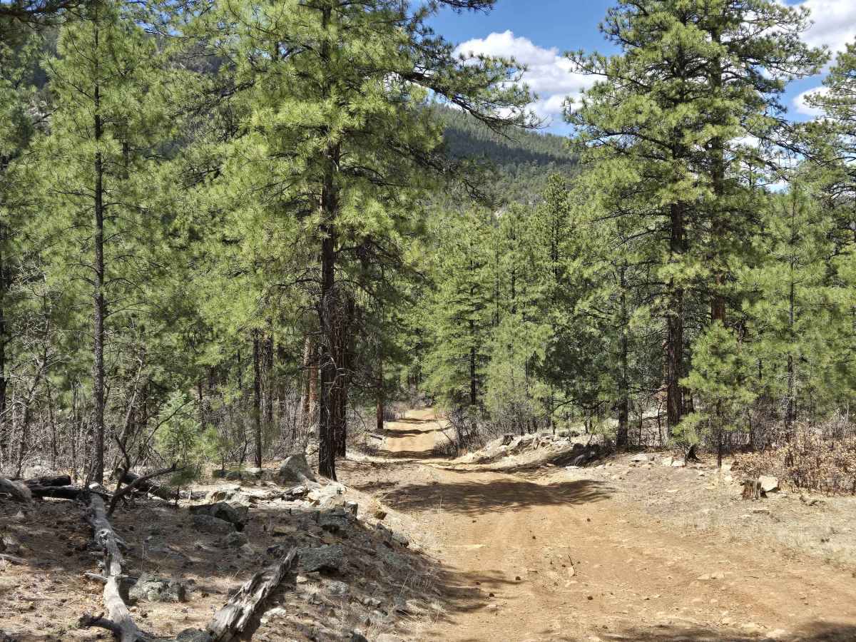 Hogback Trail photo 6
