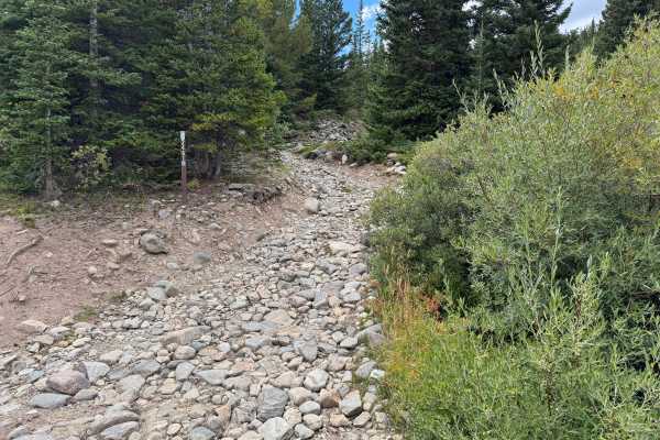 Waldorf Wagon Road