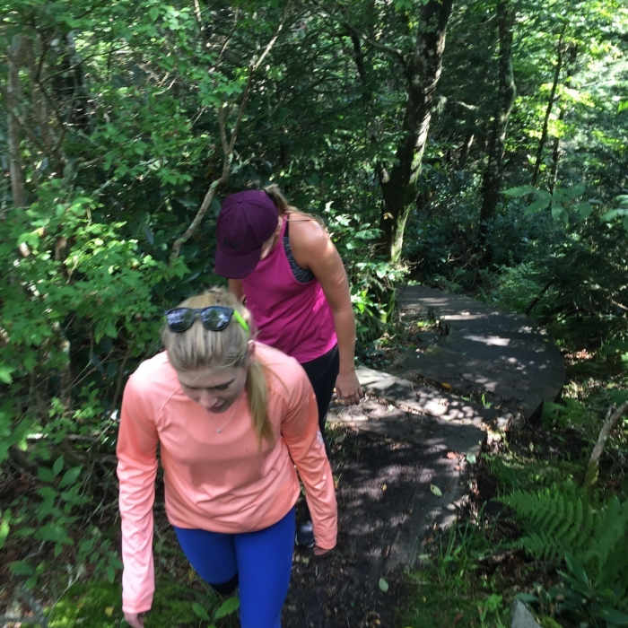 Near Big Butt Trail #161