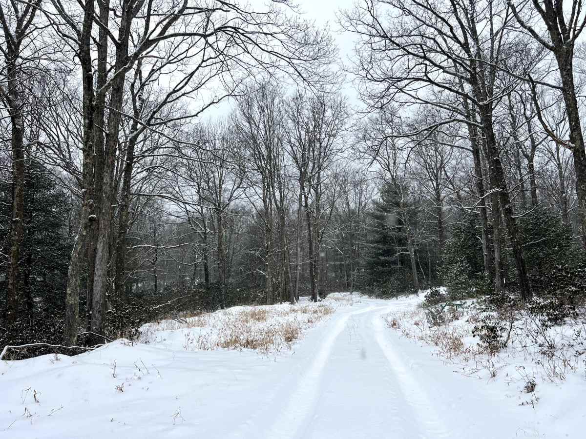 Tin Shanty Spur Trail photo 2