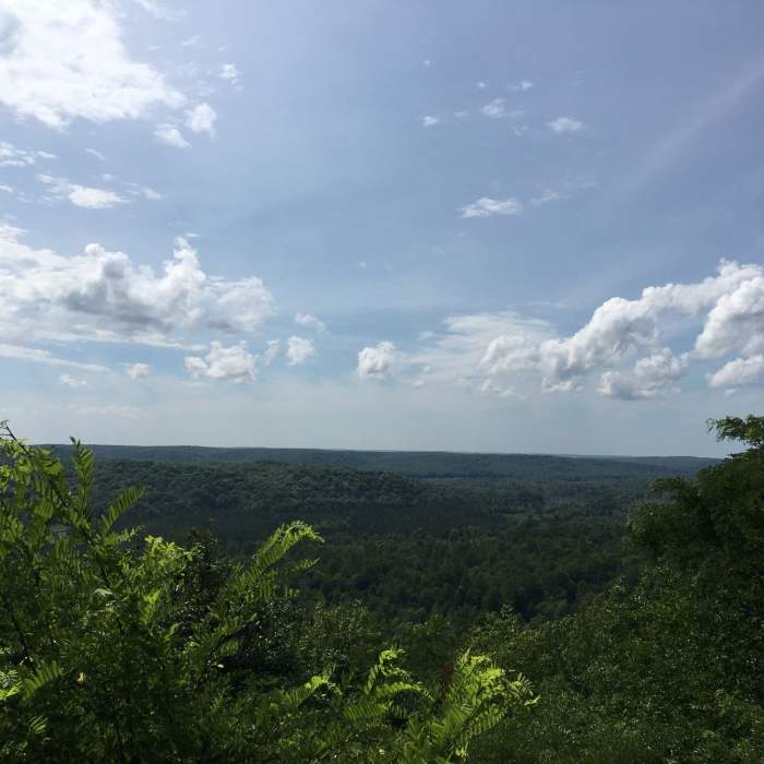 Near Jordan Valley Loop