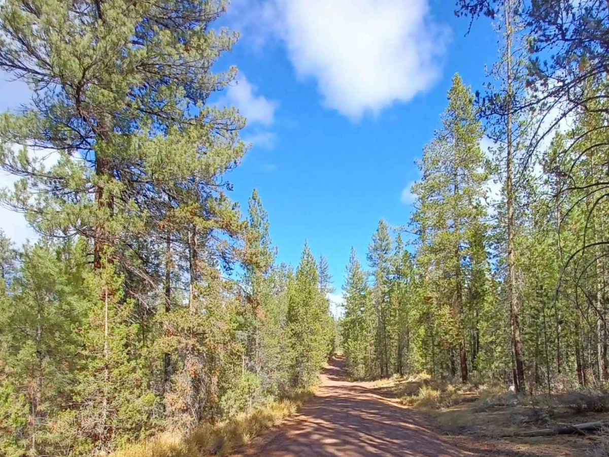 Pipeline #2215 photo 2