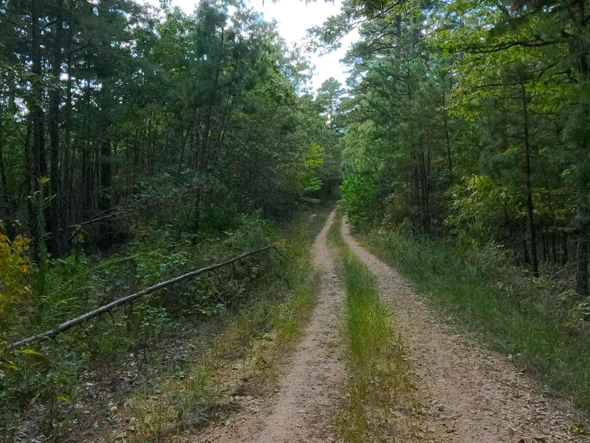 Turner Cemetery - FS 2367 photo 6