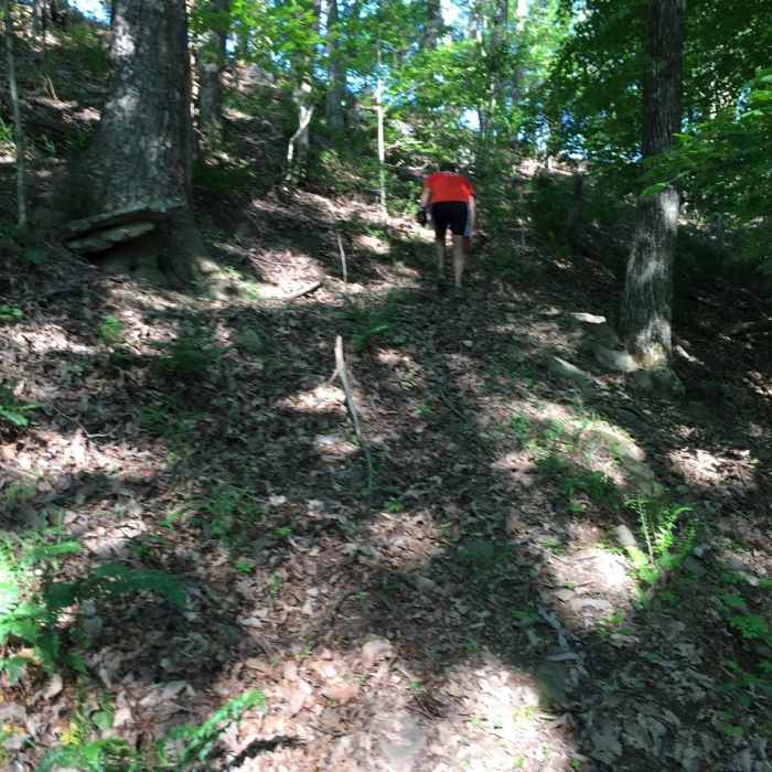 The steep incline up to the fairway Near Scout Trail