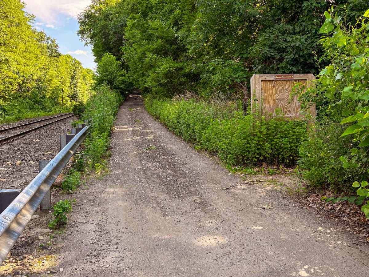 Cold Springs Road photo 5
