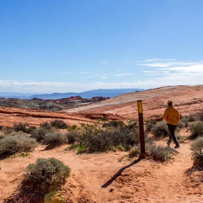 Near Fire Wave Trail