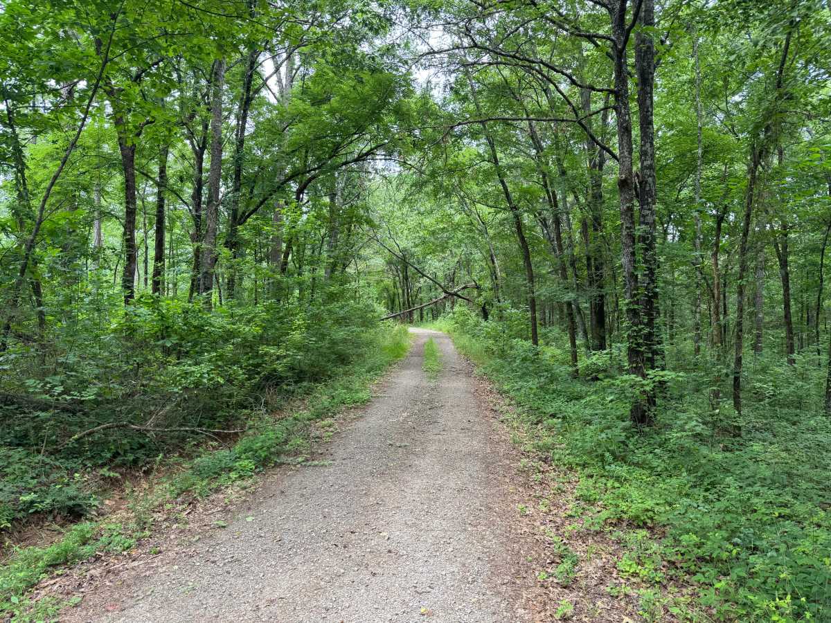 Bingham trail photo
